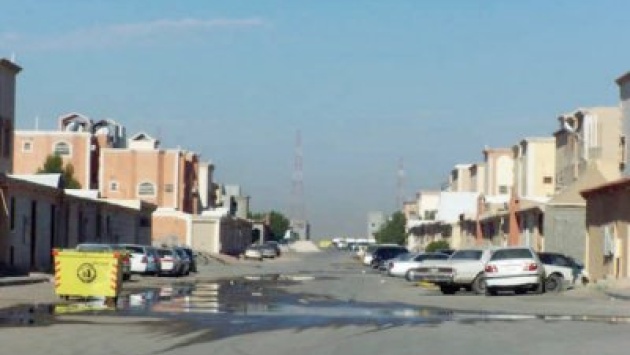 الجنادرية.. أشجار "ميتة" وإهمال "حي"!