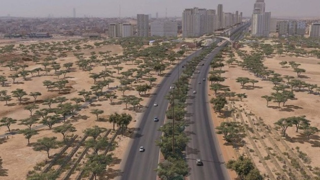 للتحول إلى مدن خضراء .. السعودية تزرع 15 مليون شجرة في 5 أعوام