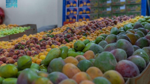 السعودية تدعم 63 ألف مشروع زراعي للحد من تقلبات أسعار الغذاء العالمية