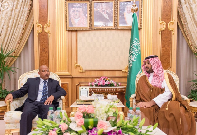 ولي ولي العهد يجتمع مع وزير الدفاع الأثيوبي ويبحث معه التعاون الثنائي