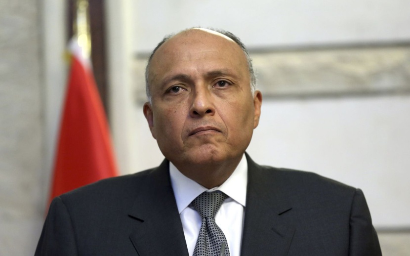 وزير خارجية مصر: لم نجد القدر الكافي من تعاون الدول في مواجهة الإرهاب