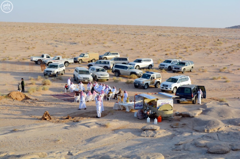 استزراع أشجار الطلح في "جبل كير" بالرس