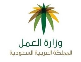 "العمل" تتيح تحميل مستندات المنافسات المعلن عنها ومراجعة النتائج العامة إلكترونياً