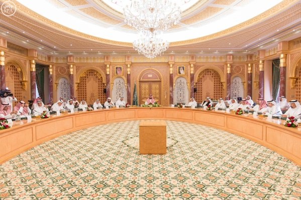 مجلس الشؤون الاقتصادية والتنمية يبحث التكامل في اتخاذ القرار بين القطاعين العام والخاص