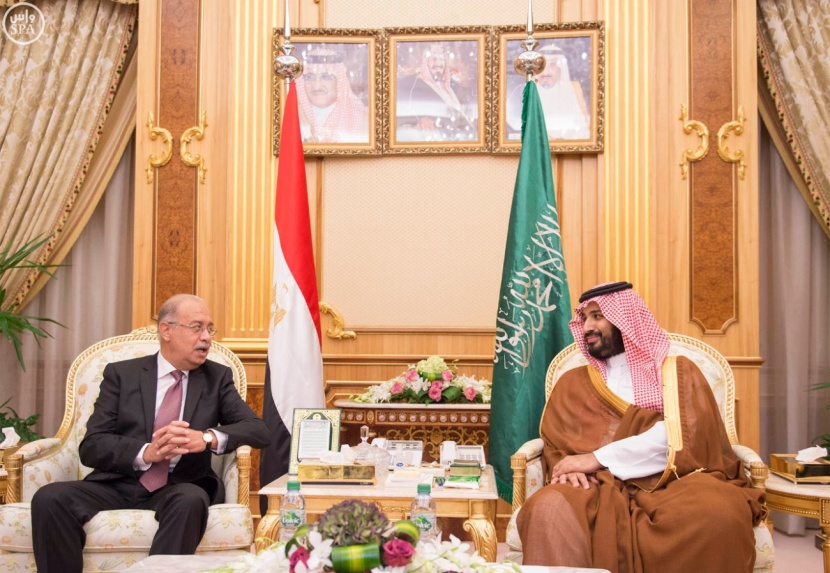 ولي ولي العهد يبحث مع وزير الدفاع المصري التعاون في الجانب العسكري