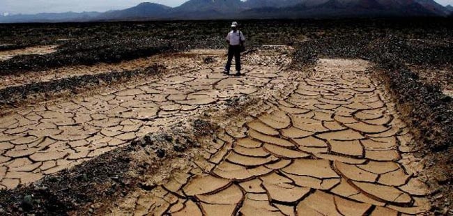 علماء: اختفاء ثلث الأراضي القابلة للزراعة في العالم بسبب تجريف التربة