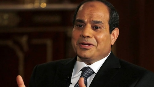 السيسي يؤكد أهمية تكاتف الجهود الإقليمية والدولية لدفع العملية السياسية في سوريا