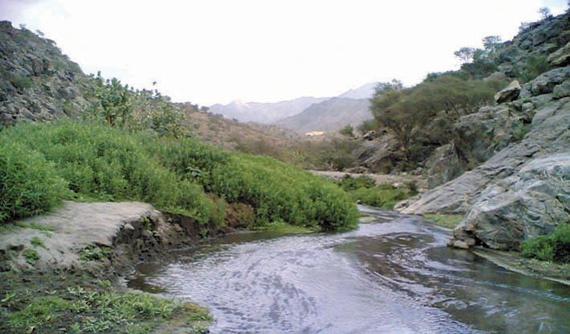 أمين الطائف يوجه البلديات بحصر الأودية المخترقة للمحافظات والمراكز