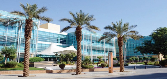 12 جهة حكومية تشارك في وضع برامج «السياحة» وخططها