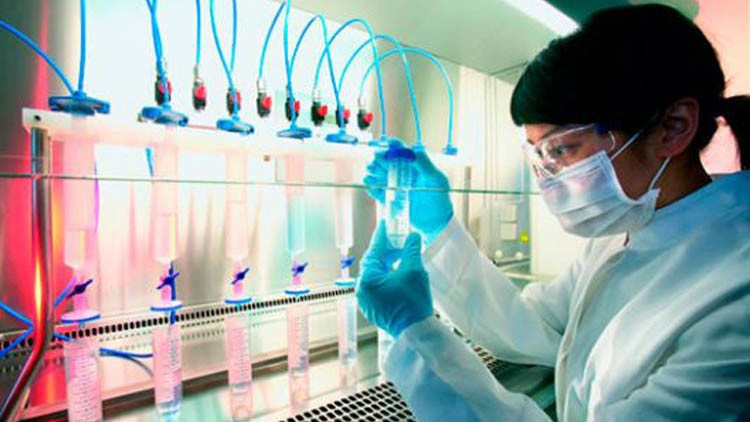 علماء: خلايا جلد الإنسان قادرة على إنتاج الأنسولين