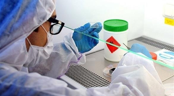 الصحة العالمية تحذر من انتشار فيروس "زيكا" في الأمريكيتين