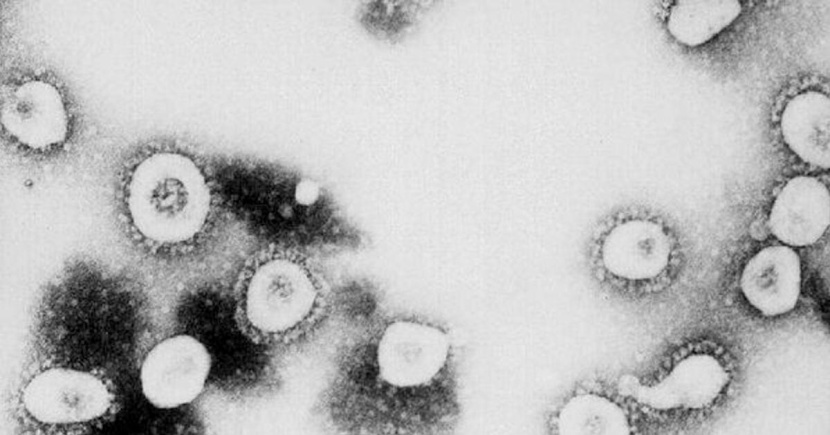 تايلاند.. 32 شخصا في الحجر بسبب كورونا