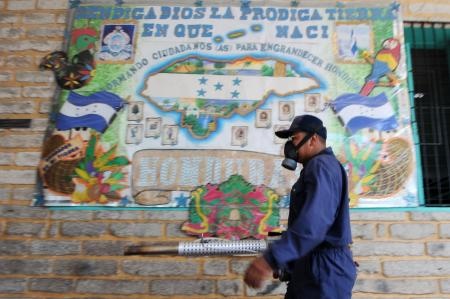 منظمة الصحة العالمية تعلن فيروس زيكا حالة صحية عالمية طارئة