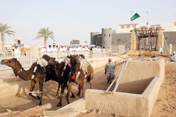 خادم الحرمين يرعى اليوم افتتاح مهرجان «الجنادرية 30» للتراث والثقافة