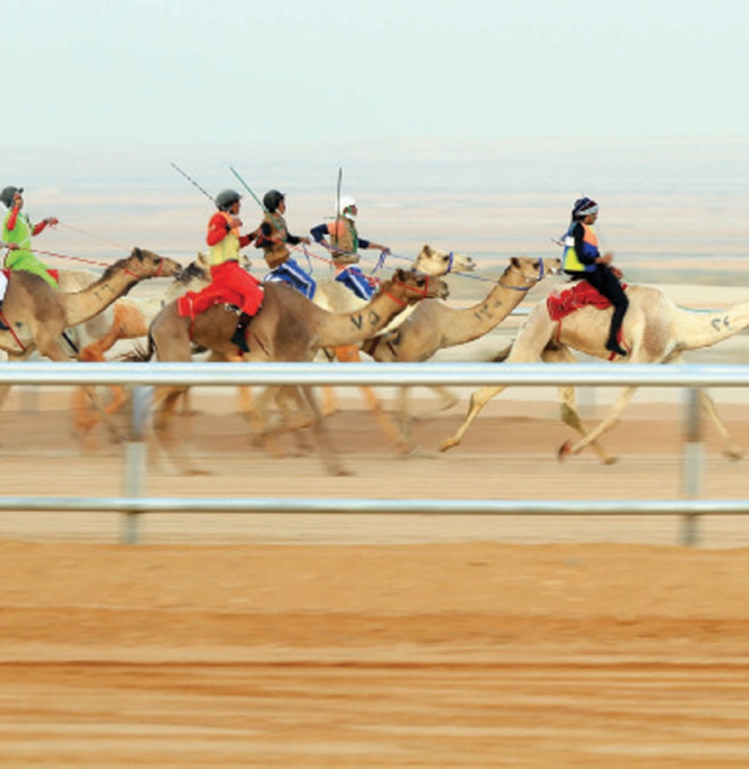 الملك يدشن عرس الثقافة والتراث والأدب