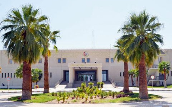 فصل التوأم السوري تقى ويقين الأحد في الرياض بنسبة نجاح 60 % للعملية