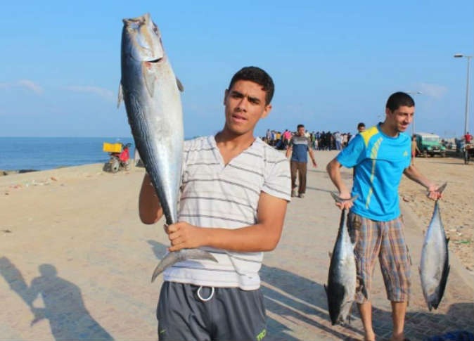 مزارع سمكية جديدة توفر السمك لأهل غزة في ظل الحصار الاسرائيلي