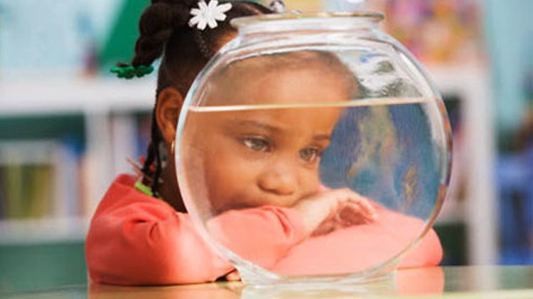 دراسة: اقراص الضغط تساعد المصابين بمرض التوحد