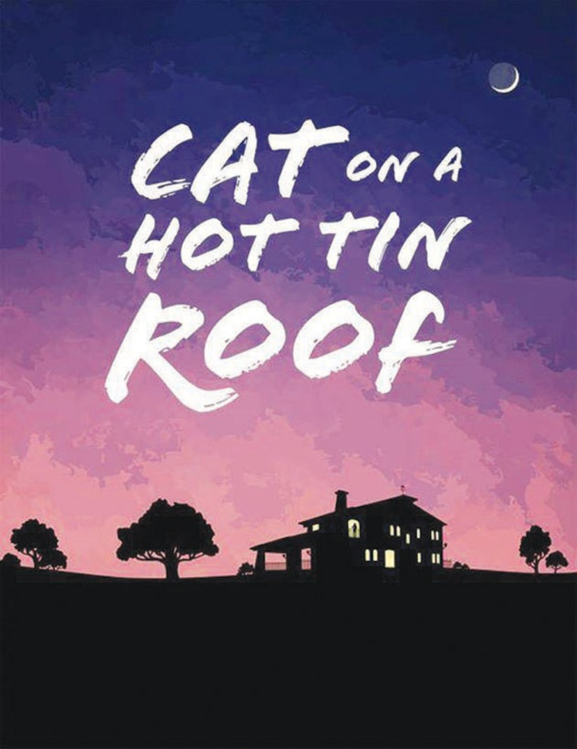 «قطة على سطح صفيح ساخن».. للسعادة وجه آخر