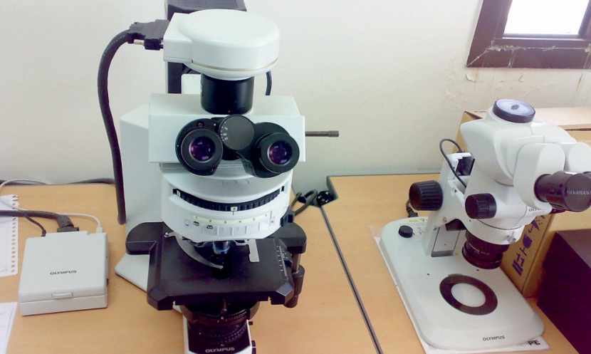 مدير «صحة الشرقية»: مركزية القرار والتعديلات غير المدروسة وراء تعثر 4 مشاريع ضخمة