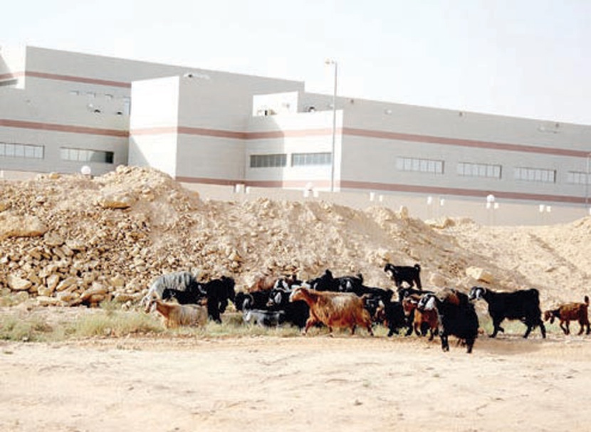 بعد تهالكه وإهماله .. وزير الصحة يوجّه بتجهيز مقر المختبر الوطني وتشغيله