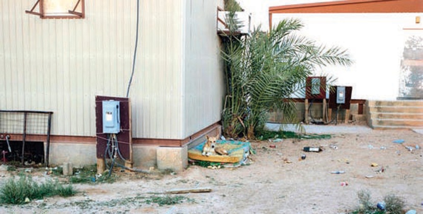 بعد تهالكه وإهماله .. وزير الصحة يوجّه بتجهيز مقر المختبر الوطني وتشغيله