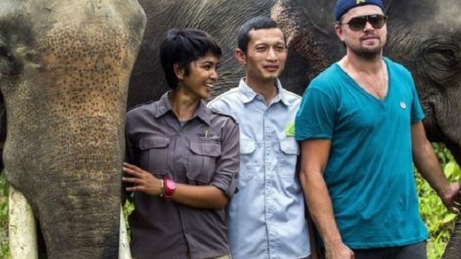 إندونيسيا قد "تحظر" دخول ليوناردو دي كابريو إلى أراضيها