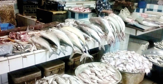 إصدار لائحة خليجية موحدة لأنظمة الصيد.. قريبا