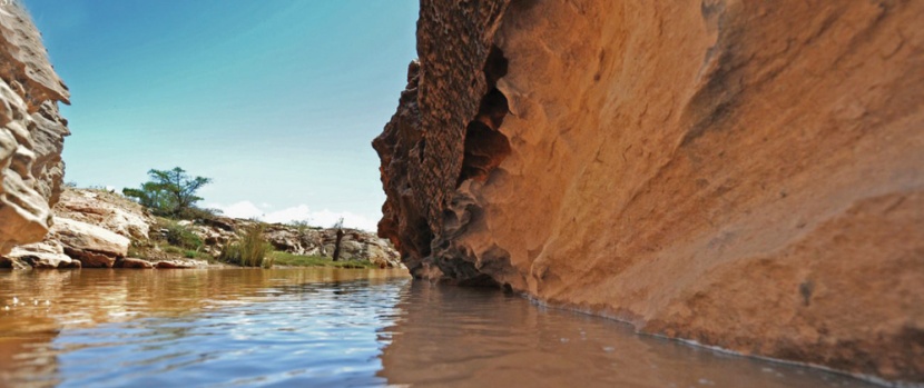 مراصد عالمية تتوقع هطول أمطار غزيرة على بعض مناطق السعودية