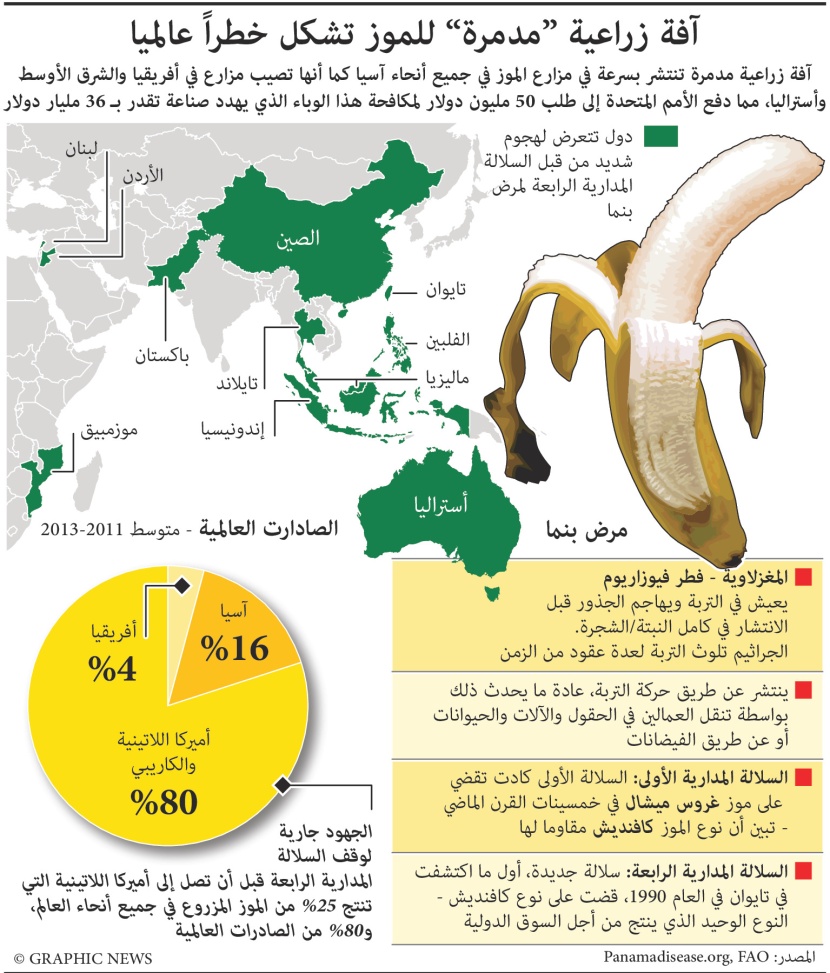 آفة زراعية مدمرة للموز