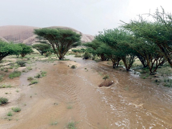 أمطار غزيرة متوقعة نهاية الأسبوع