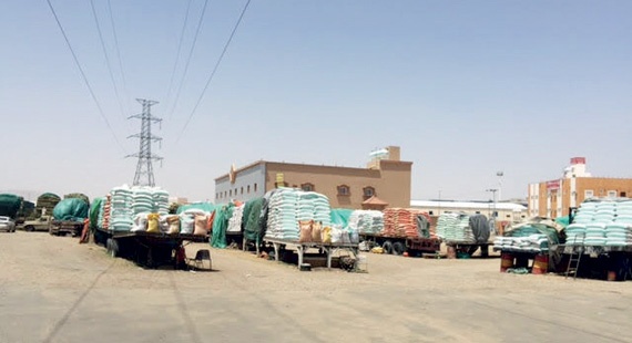 شاحنات الأعلاف تخنق «عريسة» نجران