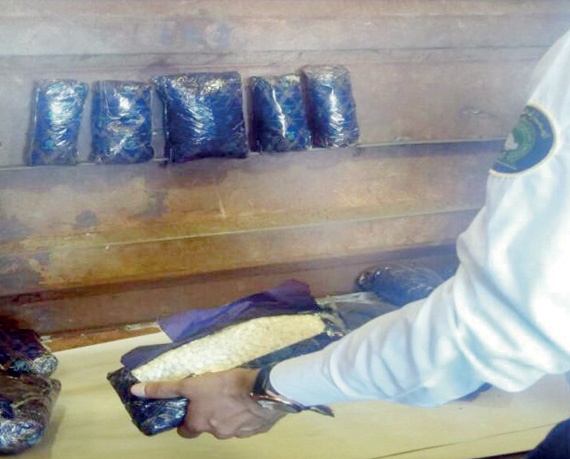 إحباط محاولة لتهريب كمية من حبوب الكبتاجون المخدرة والترامادول المحظورة