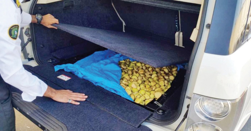 إحباط محاولتي تهريب 598 كيلو من ثمار القورو المحظورة