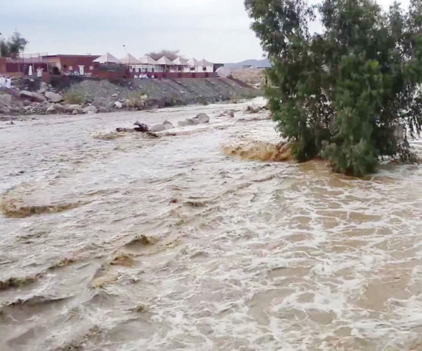 الطائف: لجنة لحصر أضرار السيول على المزارع لتعويض ملاكها