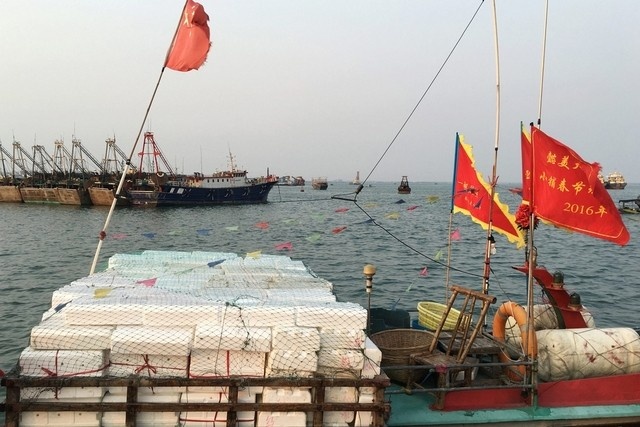 فقدان 31 شخصا في حوادث قوارب صيد قبالة السواحل الشرقية للصين