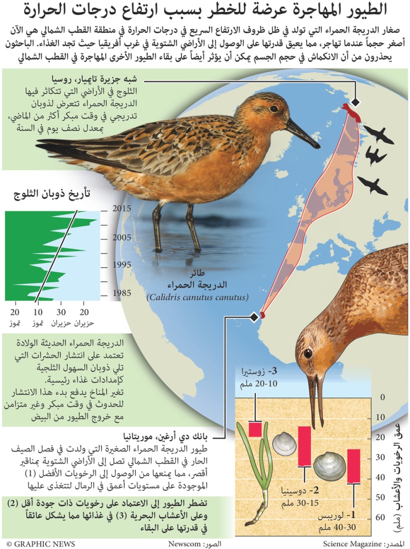 الطيور المهاجرة عرضة للخطر بسبب ارتفاع درجات الحرارة