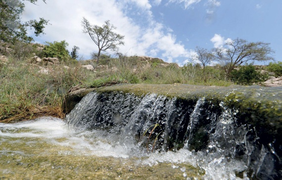 استمرار فرص هطول الأمطار على مرتفعات جنوب غربي السعودية