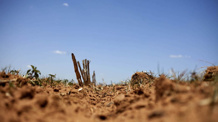 رغم هطول الأمطار في جنوب إفريقيا .. الجفاف مستمر