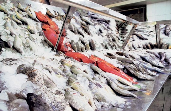 الطقس وقلة المعروض ونقص العمالة وراء
ارتفاع أسعار الأسماك