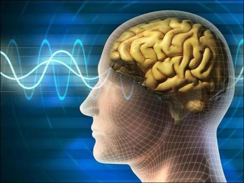 علماء : دماغ البدين يعمل بطريقة تختلف عن السليم