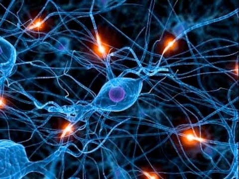 الخلايا الجذعية تظهر نتائج مبشرة في علاج الإكزيما المتوسطة والحادة