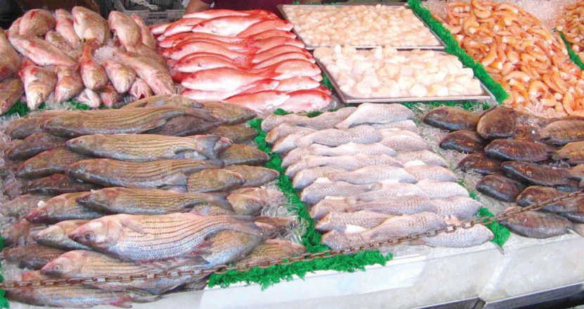 الطقس و«المستورد» يسهمان في خفض أسعار الأسماك 50 %