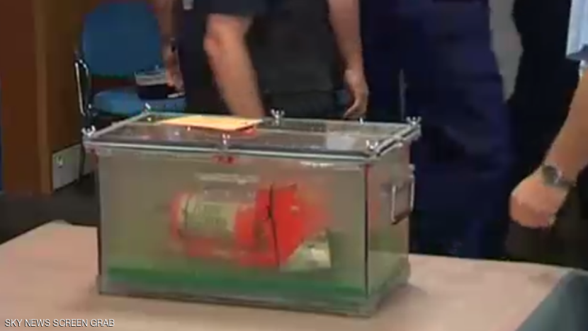 الصندوقان الأسودان للطائرة المصرية في باريس لإصلاحهما