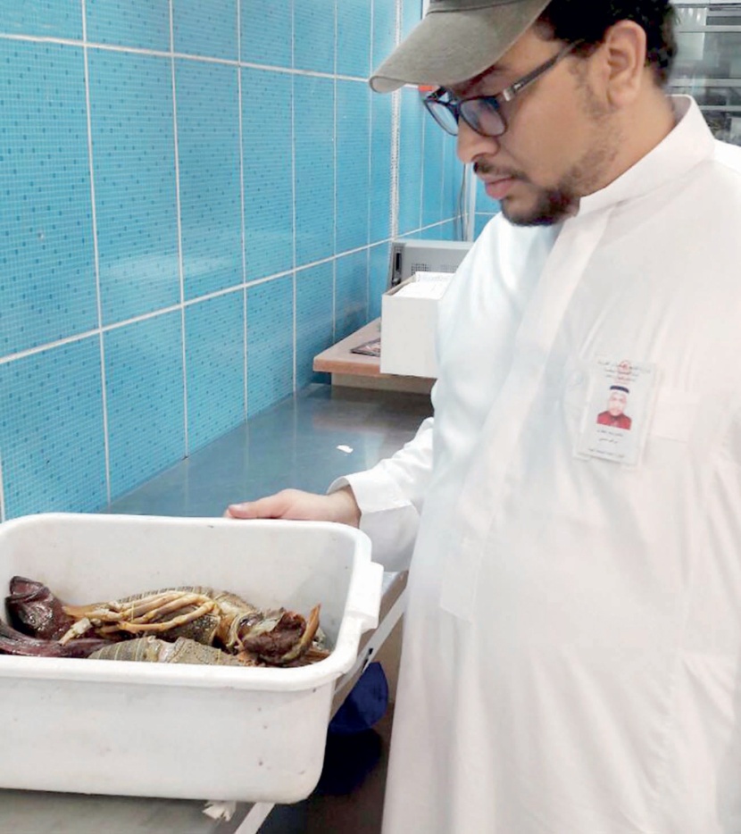 مصادرة نصف طن أسماك تالفة في منتزهات مكة المكرمة