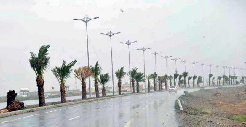 وزير «الزراعة» يعلن إنشاء شبكات للري لخدمة مزارع مواطني جازان