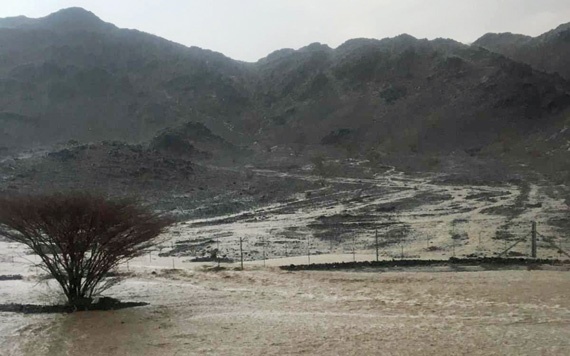 اليوم.. رياح نشطة تثير الغبار والأتربة على الرياض والقصيم