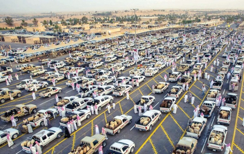القصيم: تفاوت أسعار الأضاحي بين 750 و1700 ريـال