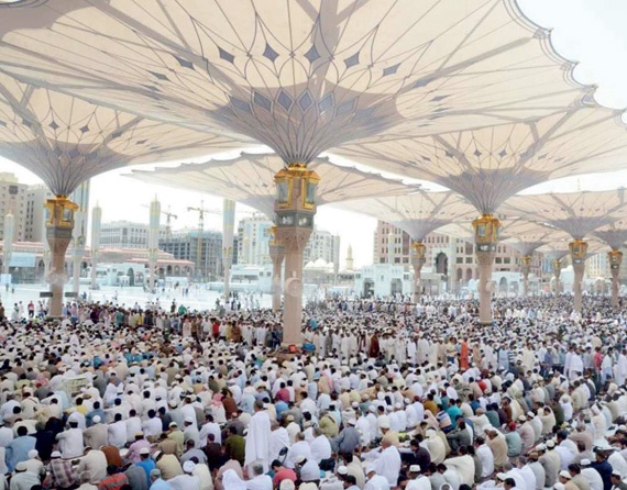 200 ألف حاج قدموا المدينة المنورة .. غادر منهم 83 ألفا