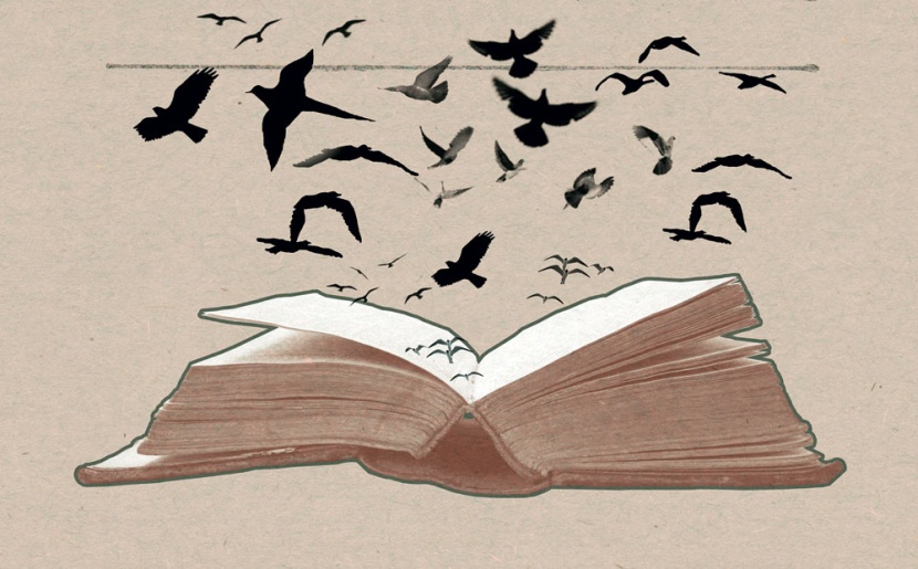 فرحة الكلام .. كل «صورة شعرية» كائن لغوي جديد